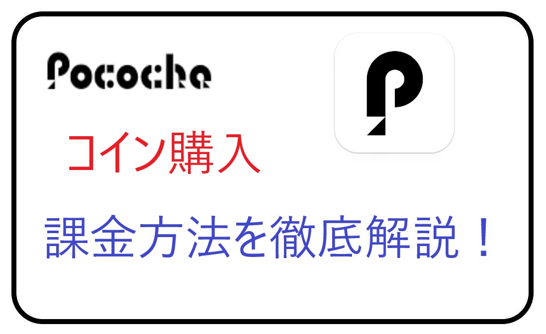 Cocoa( ´∀`)/~~他の方は購入不可‼ 珍しいふた付【高級 仔牛 牛革 トゴ使用】フラグメントケース